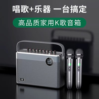 十度 T10 音响家用k歌套装带声卡便携式萨克斯电吹管专用乐器音箱