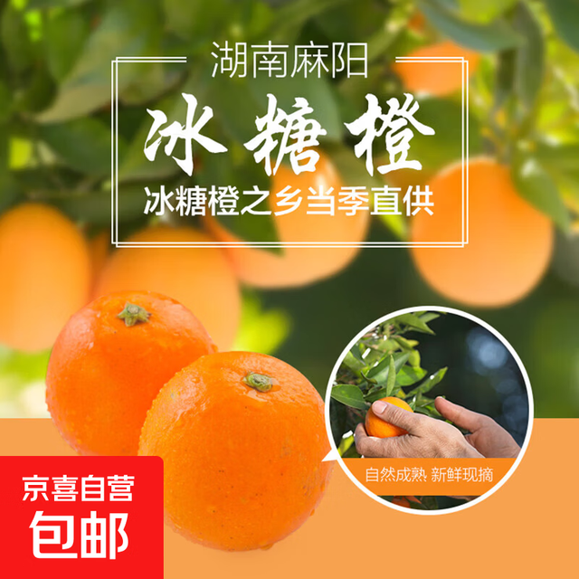 湖南芷江麻阳冰糖橙新鲜孕妇水果鲜甜多汁冰糖柑产