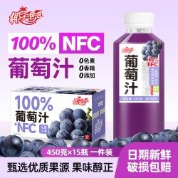 椰子泡泡 椰子水100%口味450ml*15瓶
