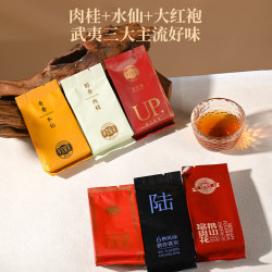 孝文家茶 武夷岩茶大红袍茉莉花茶红茶组合 新日饮好茶集 6泡装