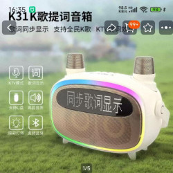 雅兰仕 歌词音箱户外家用k歌麦克响套装风话筒一体家庭ktv蓝牙音