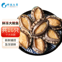 鲜拔头筹 特大鲍鱼1000g12头