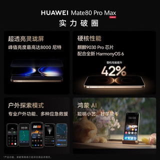 华为 Mate 80 Pro Max 全金属玄武架构 极地银 16GB+1TB 手机