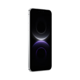 华为 Mate 80 Pro Max 全金属玄武架构 极地银 16GB+1TB 手机