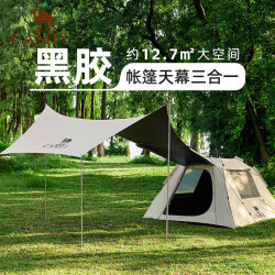 骆驼 防雨 天幕帐篷