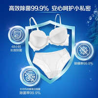 立白洗衣液内衣内裤清洗液除菌除螨去血渍贴身衣物男女士适用 立白御品内衣洗80g*1瓶