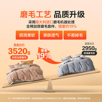 水星家纺百丽丝套件 秋冬磨毛套件三/四件套居家床单被套床上用品 森屿(全棉磨毛&不易掉毛） 1.8米床 床单款 （被套220*240cm）