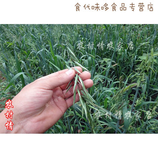 欧贤禾2020农家现磨 生燕麦粉 纯燕麦粉 燕麦全麦面粉 粗粮杂粮面粉500g