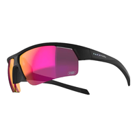 DECATHLON 迪卡侬 运动骑行太阳眼镜防沙防风户外RC500系黑色4097252