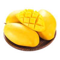 京鲜生 海南高乐蜜芒果3斤装 单果200g+ 生鲜水果 源头直发