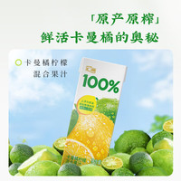 汇源100%果汁0添加苹果汁桃汁柠檬汁蓝莓汁200ml*12盒礼盒装 柠檬汁200ml*12盒【礼盒装】