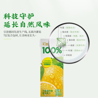 汇源 100%果汁 柠檬味 200ml*12盒 礼盒装