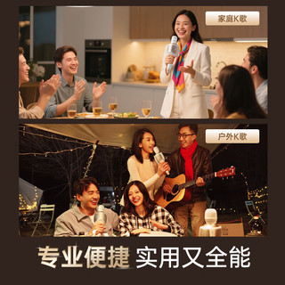  魅鸟 无线麦克风 音响麦克风套装