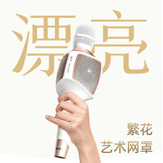  魅鸟 无线麦克风 音响麦克风套装