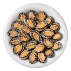 黄小渔 冷冻鲍鱼净重160g(11-16粒)袋装 带壳火锅食材