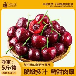 中果农茂 智利进口车厘子净重5斤双J一整箱车厘子新鲜樱桃