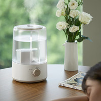 小熊(Bear)加湿器家用空气加湿机卧室3L迷你增湿机桌面办公低噪大雾量 JSQ-D30W1