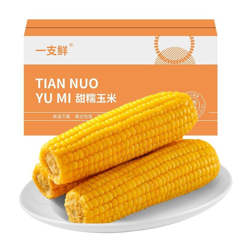 一支鲜东北黄糯玉米棒真空包装新鲜现摘甜粘苞米低脂轻食早餐10棒