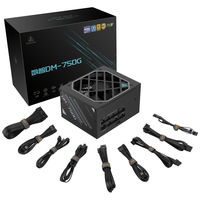 鑫谷（segotep）数智DM-750G双金牌全模数字电源（短尺寸/全日系电容/ATX3+/10年保/额定750W台式电脑游戏电源）