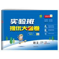《小学实验班提优大考卷》（2026、年级/科目/版本任选）