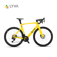 LYVA水果姐同款丨羚羊-Antelope02 禧玛诺UT大套全碳 瑞豹EVO姐妹车 太阳花黄 L