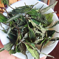 石古兰 2024年福鼎大白茶高山白茶白牡丹散茶 1斤送礼盒