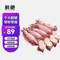 鲜驰海兔子满籽鲜活笔管鱼海鲜新鲜全籽籽乌冷冻墨鱼仔乌贼小鱿鱼水产 生冻笔管鱼 2斤(净重)  99％带籽