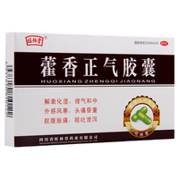 旺林堂 藿香正气胶囊 0.3g*12粒 5盒装