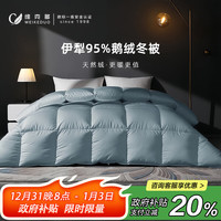VCD）95鹅绒冬被冬季保暖加厚双人羽绒被被芯充1.1kg 220*240cm蓝色 95伊犁鹅绒款 220cm*240cm