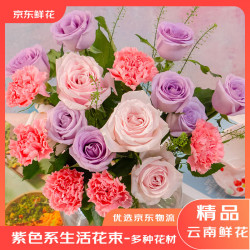 京东鲜花 昆明基地鲜花直发家庭生活鲜花玫瑰康乃馨混搭-清新如伊源头直发