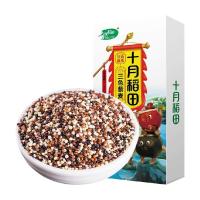 十月稻田 三色藜麦