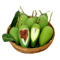 蔬果哆现货广西本地新鲜水果 生吃芒果 酸芒果 椒盐芒果 脆芒果当季 2.5kg(一箱五斤)