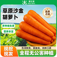 蒙之宝 内蒙带泥蜜脆沙金胡萝卜200gx13根左右2.5kg甜脆多汁源头直发