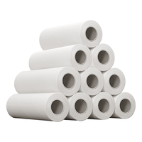 MR 妙然 10卷装16cm粘毛器替换纸可撕式沾毛除尘滚筒去毛替换芯（不含柄）