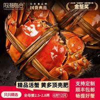 百亿补贴：阳澄联合 鲜活大闸蟹全母大螃蟹现货送礼湖蟹海鲜精品礼盒 8只