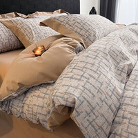 轩蓝仕 100支A类母婴级秋冬保暖纯棉拉绒四件套 200*230cm