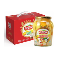 HUANLEJIA 欢乐家 北果什锦水果罐头 900g*2瓶 方便速食 礼盒整箱装