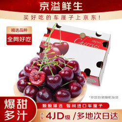 京溢鲜 智利车厘子礼盒装樱桃水果年货节送品盒 5斤(净重)  礼盒装 XL级24-26mm