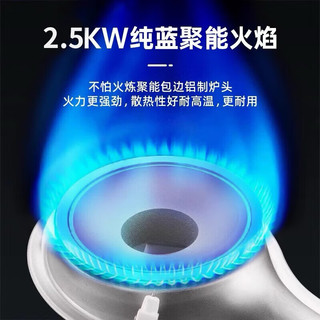 岩谷（Iwatani）卡式炉便携式4.1KW大火力家用户外炉具防爆防风露营围炉煮茶 【2.5KW】ZB-LP-1卡式炉