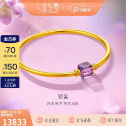 金至尊 足金手镯 紫水晶素圈手镯 54mm 10.83g