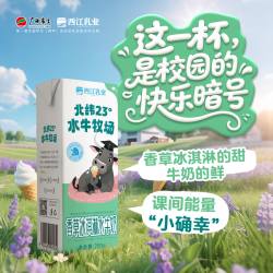 西江乳业 香草冰淇淋味水牛奶 200g*10盒