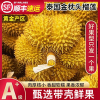 寄春 泰国金枕榴莲整果带壳 5-6斤
