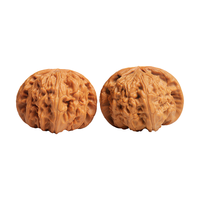 月印百川 核桃文玩白狮子古玩 38-39mm+盘玩礼包