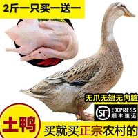 恺蒂鲜 生鲜鸭子 鸭肉农家散养鸭子土鸭整鸭笨鸭活鸭农村鸭 4斤左右整鸭(两只)