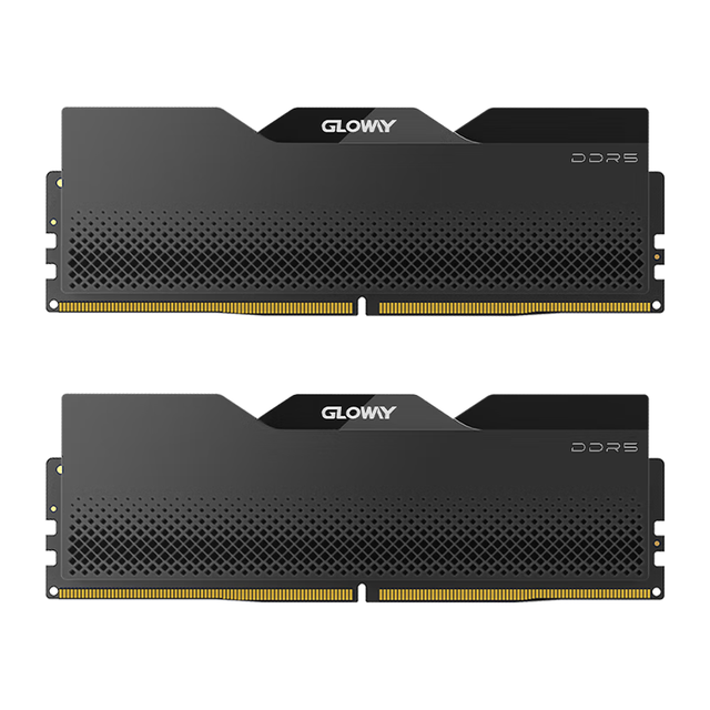 光威（Gloway）32GB(16GBx2)套装DDR5 6400 台式机内存条龙武系列镁光
