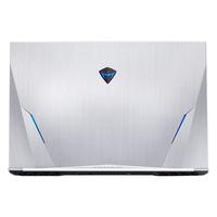 MACHENIKE 机械师 战空F117-X 15.6英寸 游戏本 银色(酷睿i7-10870H、RTX 3060 6G、16GB、512GB SSD+1TB HDD、1080P、IPS、240Hz)