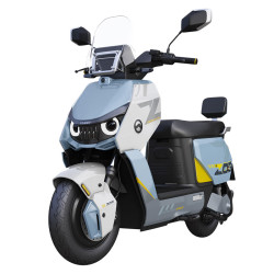金箭 零界900电动摩托车 74V110Ah锂电池