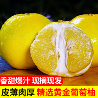 金百粟 福建黄金葡萄柚  净重4.5斤