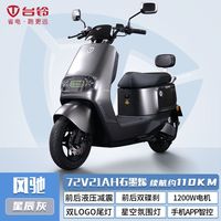 台铃 风驰 电动摩托车 72V21Ah