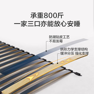 喜临门 真皮床